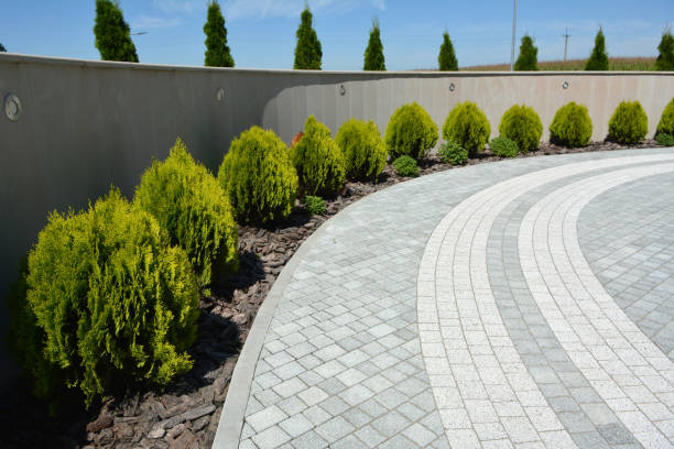 Best Driveway Pavers Near Me  in Alton, TX